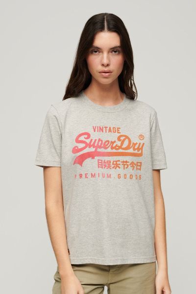Superdry Tonal Graphic Relaxed Tee Grey